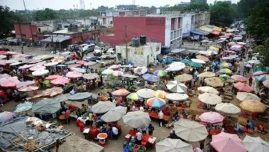 What steps were taken on the passive employees, the Supreme Court asked the Chandigarh administration in the case of sector -26 Mandi -what steps were taken against inactive employees, the Supreme Court asked the administration in the case of the Sector 2