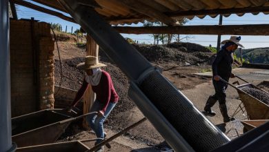 Coffee prices fall with US lawmakers who want to release him from fees