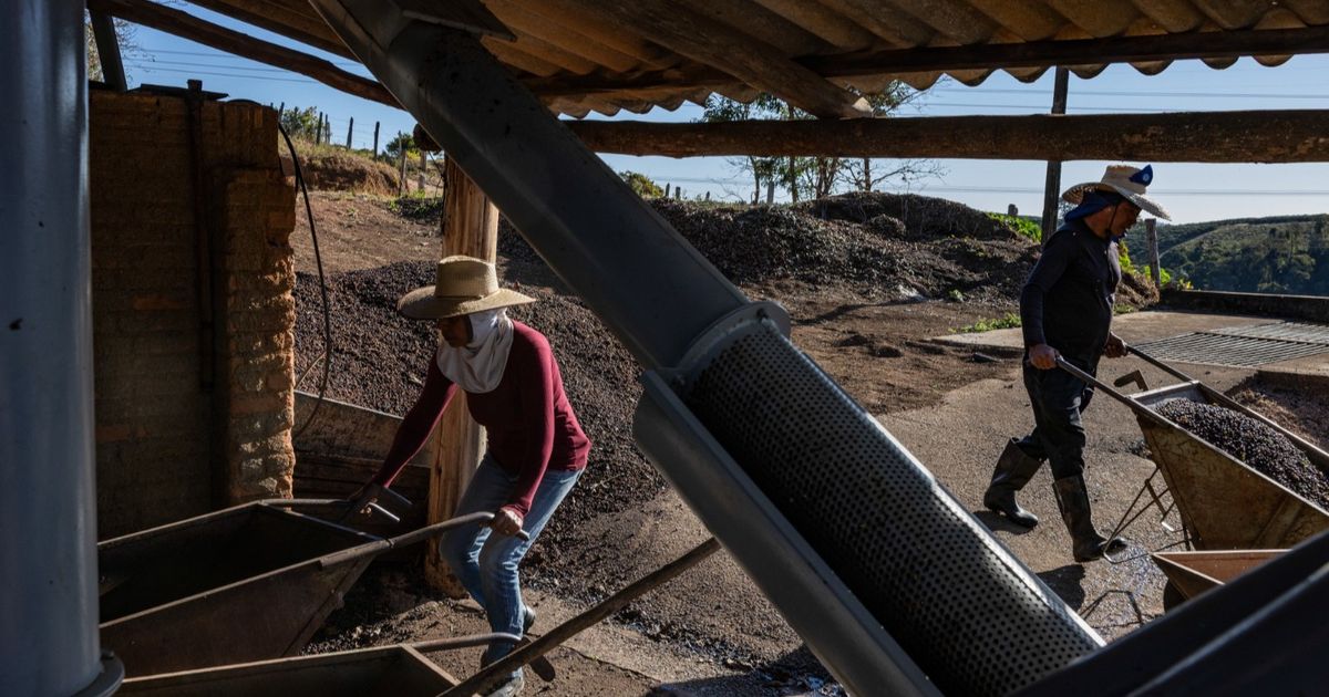 Coffee prices fall with US lawmakers who want to release him from fees