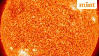 Sun wakes up after 20 years of silence: Regular solar storms can disrupt communication