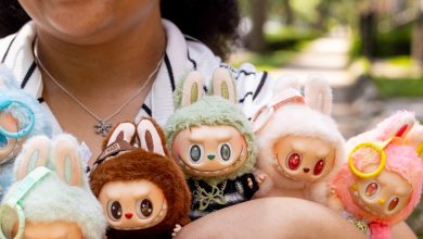 labubu-making-an-attempt?-some-chicagoans-are-spanding-various-to-snag-the-viral-monster-dolls
