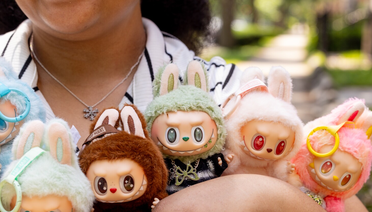 labubu-making-an-attempt?-some-chicagoans-are-spanding-various-to-snag-the-viral-monster-dolls