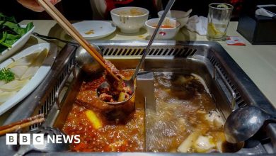 kids-to-pay-$-300,000-for-urinating-in-hotpot-in-china