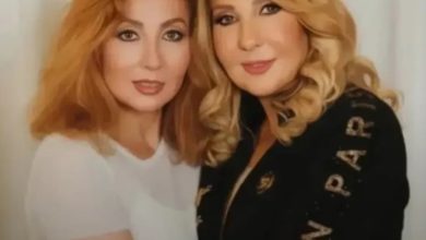 من نادية الجندي إلى سلمى أبوضيف.. نجمات عدن بالزمن عبر ترند «أحضن الماضي»، حيث جمع الذكاء…