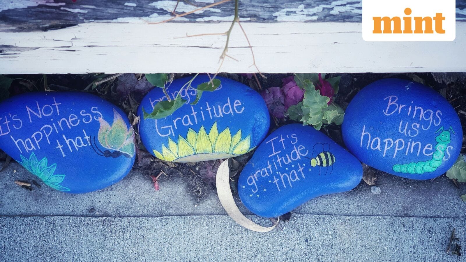 The science of gratitude: why it is grateful to improve physical and mental health