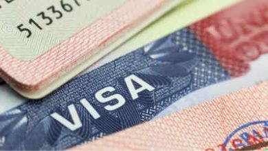 Do you want to go to America and work? There is a rukus about H-1B visa, know what Indians will affect