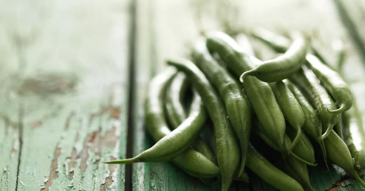 runner-beans-model-greater-when-one-28p-ingredient-is-added-to-the-pan