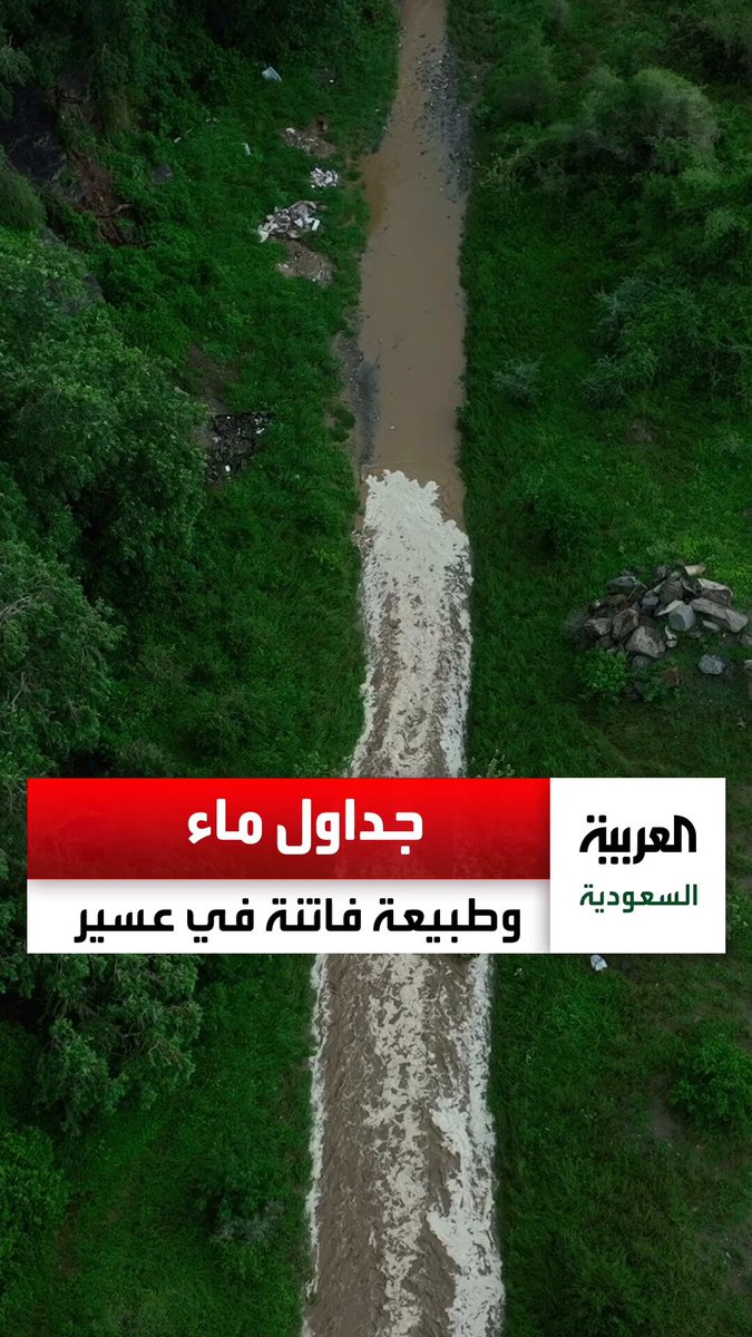 جداول ماء ومساحات خضراء… مشاهد فاتنة لمركز قنا جنوب غرب السعودية بعد هطول الأمطار. عبر
