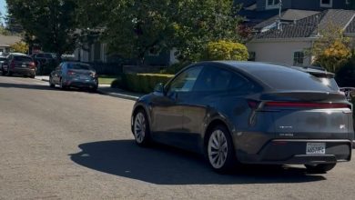 a-robotaxi-took-with-for-a-run-in-my-region-of-birth,-the-birthplace-of-tesla