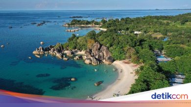 World Wide Tourism Day 2025: Background and theme