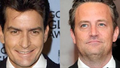 charlie-sheen-makes-monstrous-claim-about-matthew-sobriety