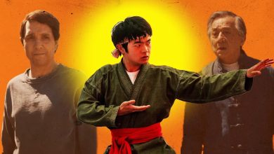 sure,-they-of-direction-made-one-other-‘karate-child’-film