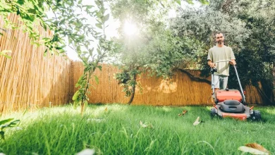 Amazon Slashes ‘Lightweight and Easy to Manoeuvre’ Cordless Lawnmower by £ 100 – ryan