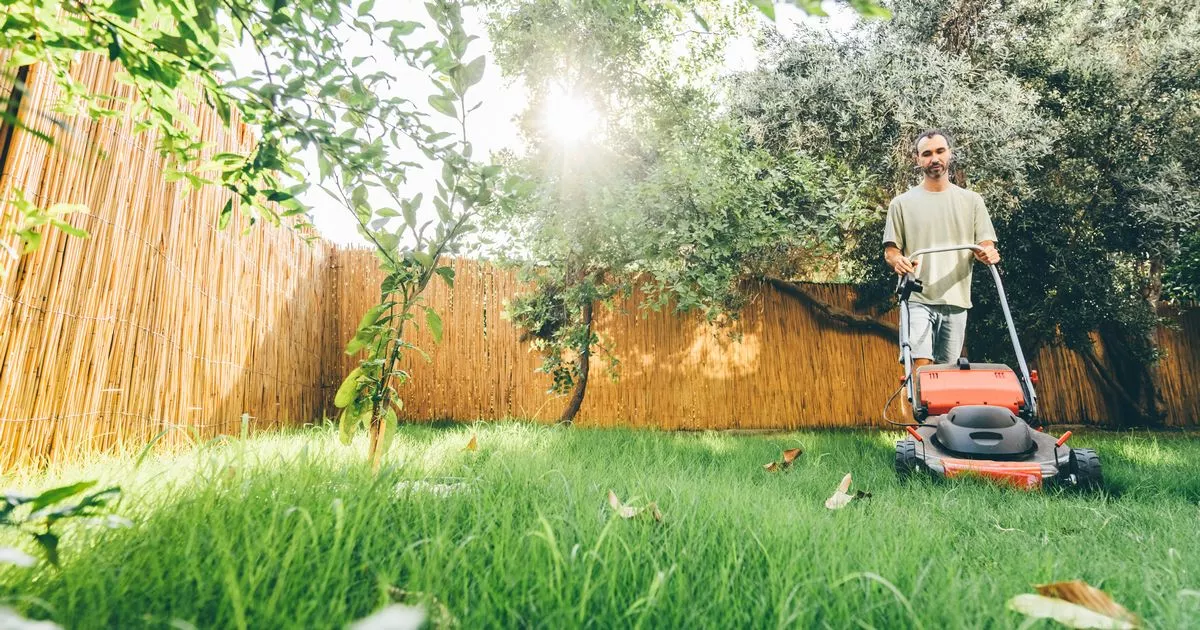 amazon-slashes-‘mild-weight-and-easy-to-manoeuvre’-cordless-lawnmower-by-100