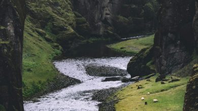 Such a big rivers should visit India!