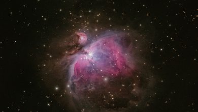 These are the ten coldest plants in the universe!