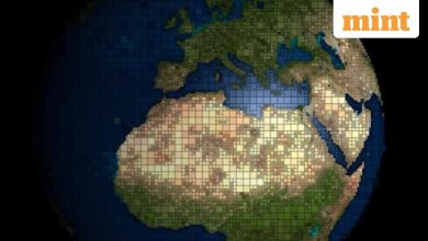 Drought grabs the US northeast, NYC arouses the fear of the fallfield fires