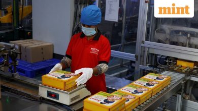 Amul lowers prices over 700 items to GST Reforms: from Ghee and Paner to butter – see what will get cheaper