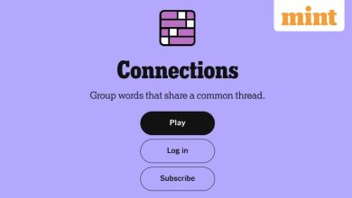 NYT Connections Puzzle #832: Tips, Categories and Answers for September 20 Puzzle