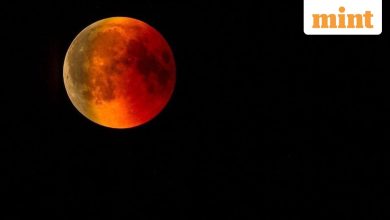 Partial solar eclipse on September 21: Will people see in the US sky? Check details