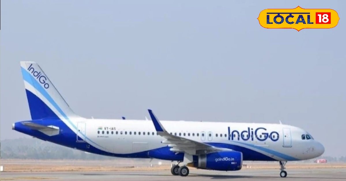 DOOGHAR to go to the festival? So know the price of the flight, maybe you should lose a lot