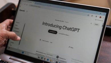 chatgt-and-assorted-he-bots-kep-validating-the-jerks