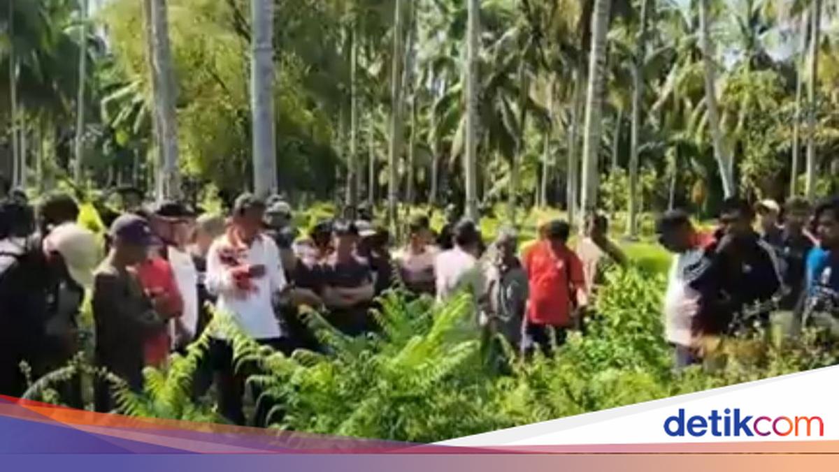 Co -operative employees in Western Sulwesi were found dead after customer credit account