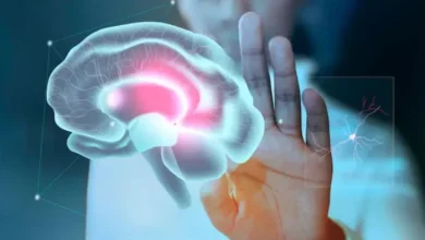 World Alzheimer’s Day: Sudoku and chess play are overcome by Alzheimer’s, these are rescue measures and symptoms -World Alzheimer’s day Agra News Understanding Alzheimer’s disease and prevention
