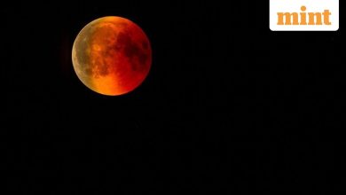 Solar Eclipse Today: Will the US get a look? Here’s what to know