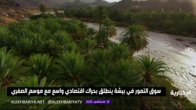 سوق التمور في بيشة ينطلق بحراك اقتصادي واسع مع موسم الصفري #الإخبارية