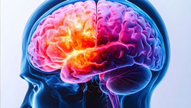 Vascular dementia is a major problem, brain damage by microplaste: study
