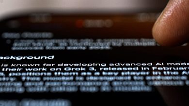 How he was a toll on the freelanckers who train, test, and refine it – ryan