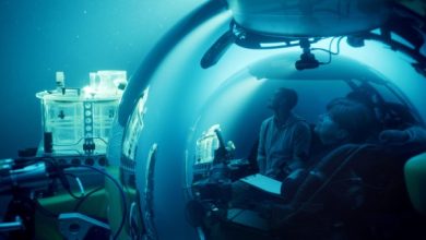 ‘a-life-illuminated’-review:-documentary-about-bioluminescence