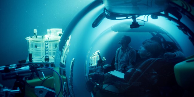 ‘a-life-illuminated’-review:-documentary-about-bioluminescence