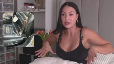 Metal Rod Tears Through Car, Pierces Driver’s Rear End while Driving Along California Freeway – ryan