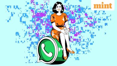 How WhatsApp the gate becomes to a billion Indians