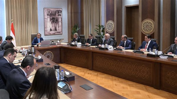 الدولة نجحت فى تنفيذ مليون ونصف وحدة سكنية – ryan
