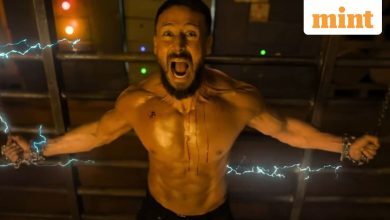 Baaghi 4 Box Office Collection Day 17: Tiger Shroff’s Film Cross £ 50 Crore in India So far, Mint This Amount