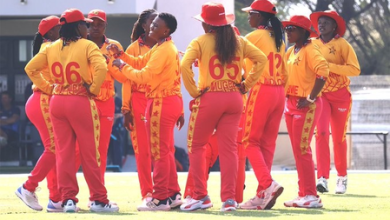 UAE ready to offer UAE for white ball series
