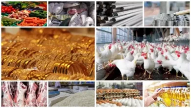خريطة-الأسعار-اليوم-17-9-2025.-انخفاض-الدواجن-والحديد-والذهبurt