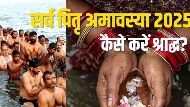 Sarva Pitru Amavasya 2025 Shraddha Vidhi: Sarvartha Siddhi Yoga Sarva Pitri Amavasya Today, How To Do Shraddha Learn Method, Muhurt