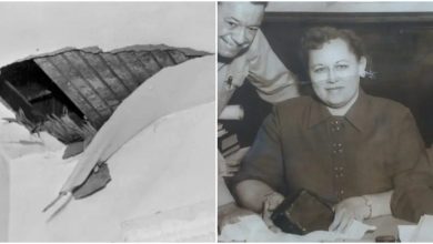 the-legend-of-ann-hodges,-the-top-likely-particular-person-identified-to-be-hit-by-a-meteorite