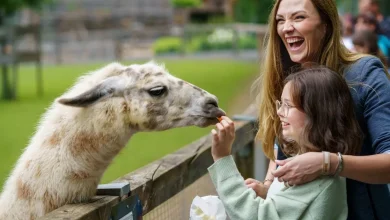 popular-credit-discounts-alongside-with-3-tickets-to-the-zoo-and-more-this-summer-season