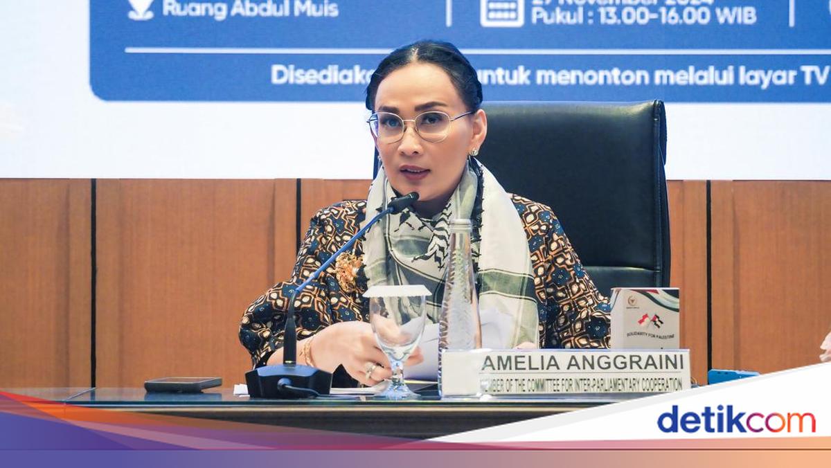 Legislature hopes Prabowo will expose the Palestinian sovereignty at the UN General Assembly