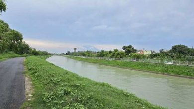 BBMB sought approval from states to restore the nangal channel