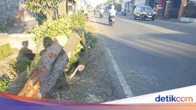 Hit and 2 pedestrians cracking in blitar 1 woman died 650 meters