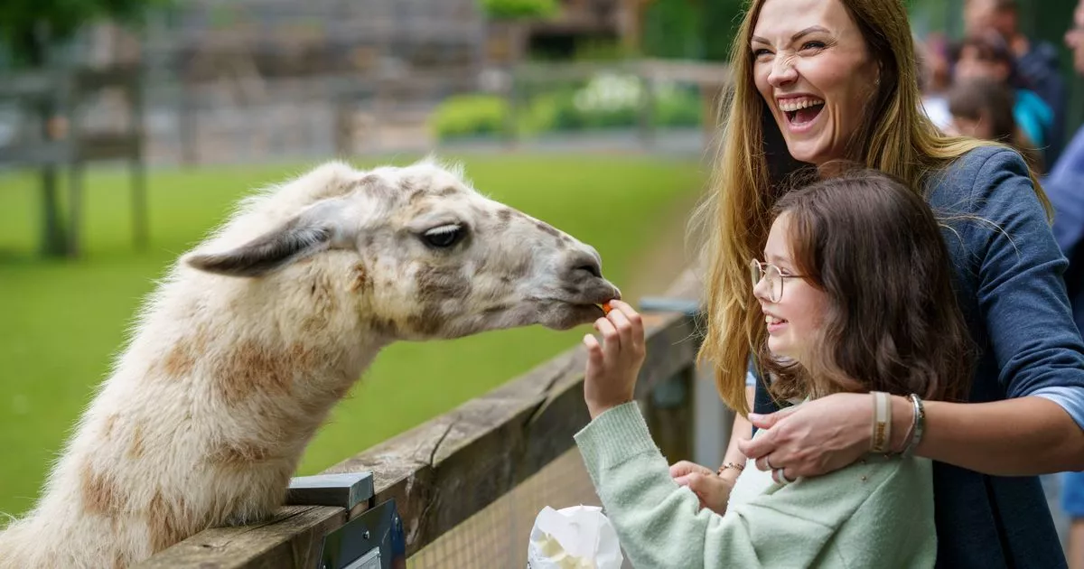 in-trend-credit-reductions-including-3-tickets-to-the-zoo-and-extra-this-summer