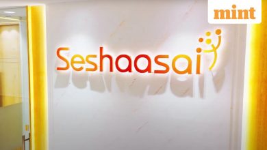 Seshaasai Technologies IPO: GMP, Price Band to Review – 10 Key Things You Must Know Before Opening