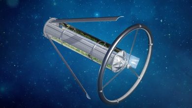 why-living-beyond-earth-is-not-most-likely,-scream-astronauts-and-engineers