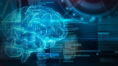 ai’s-valid-anxiousness-is-it-doesn’t-care-if-we-reside-or-die,-researcher-says